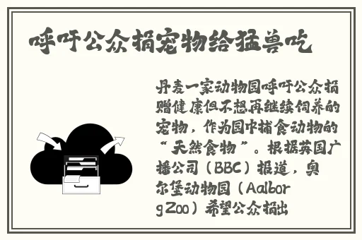 电动木马上的旋转木马如何使用
